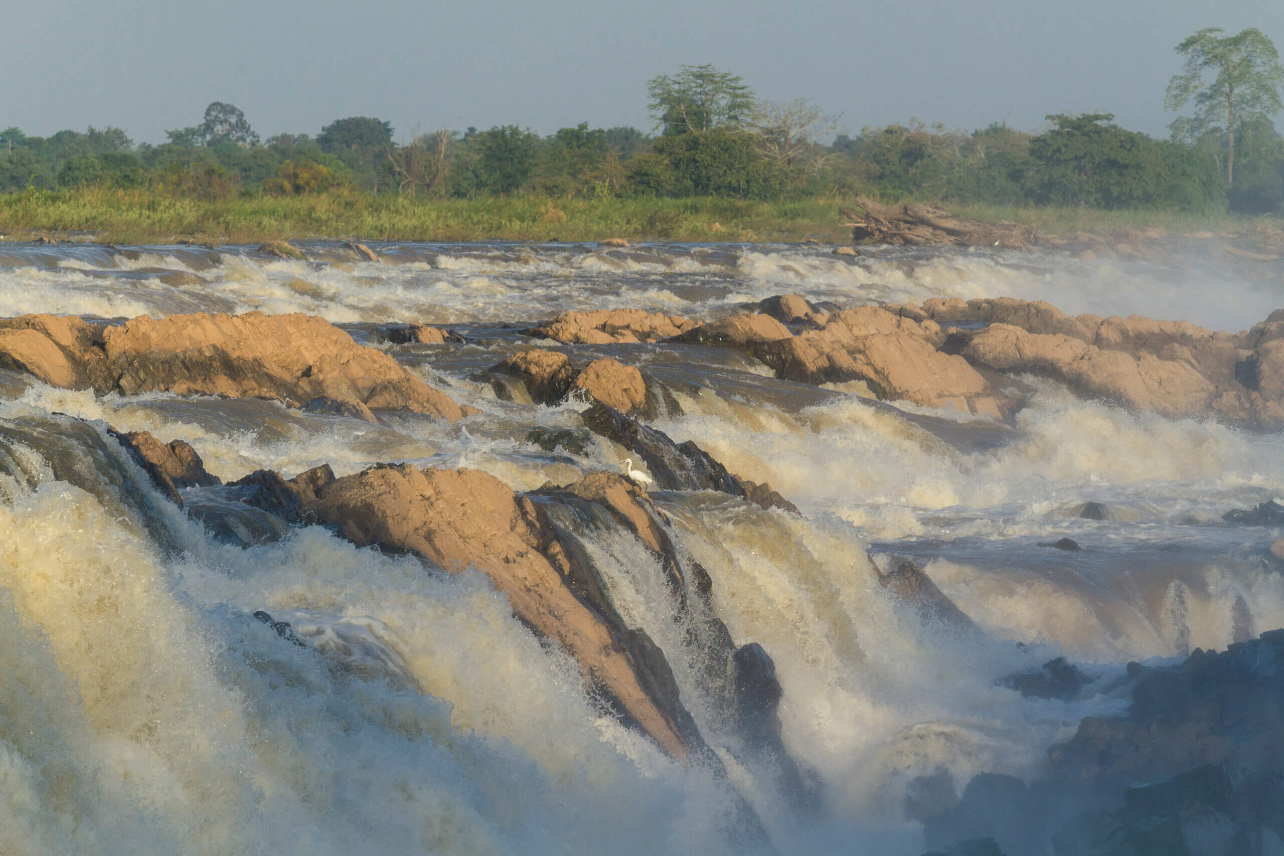 WWF Living Planet Report
