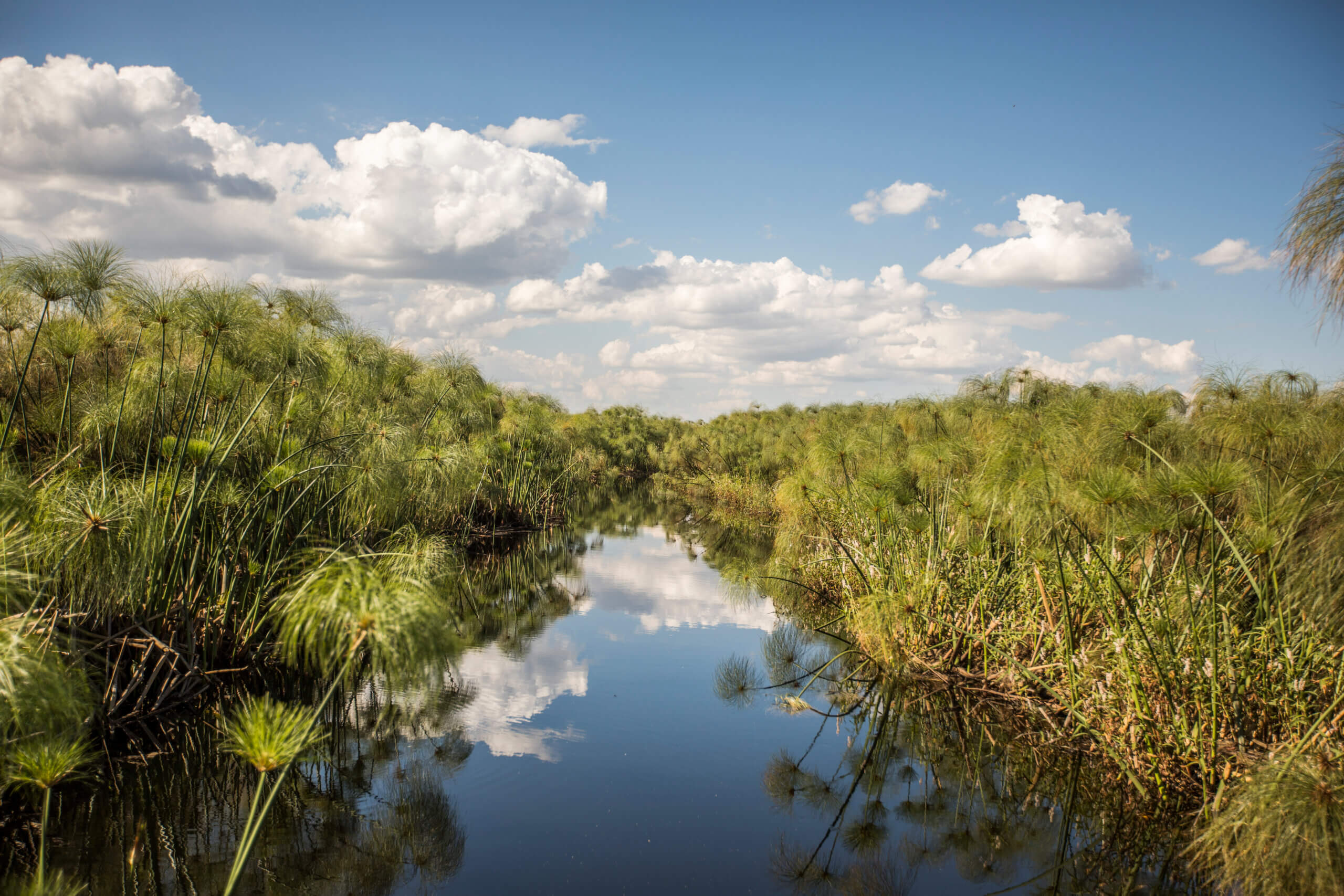 Sustainable behaviour from the lens of behavioural science